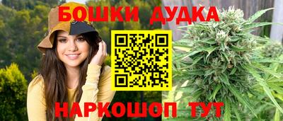 PSILOCYBIN Камышлов