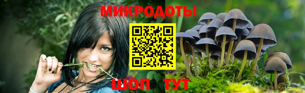 Северск  Галлюциногенные грибы Psilocybine cubensis  Вход с VPN 
